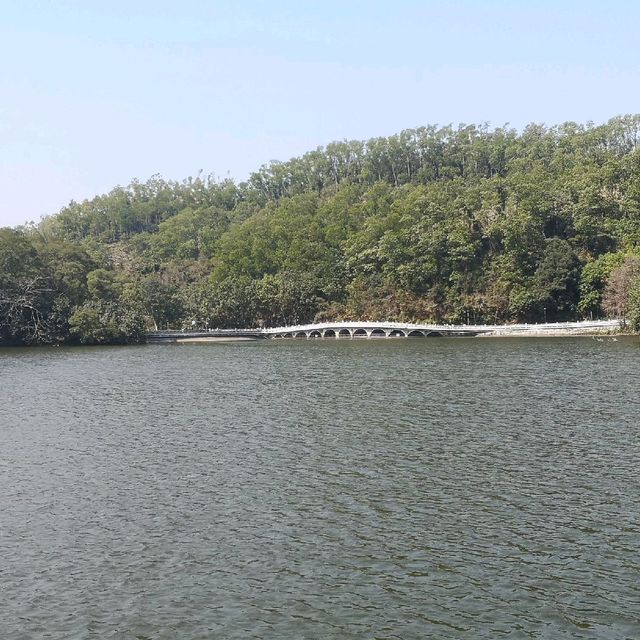 Fairy Lake, Xianhu Botanical Park