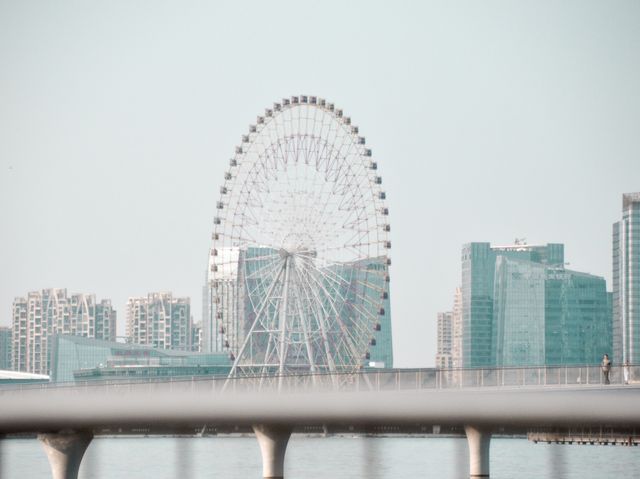 The Jinshui wan bridge 