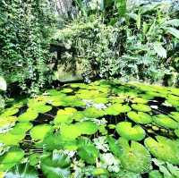 Entopia, Butterfly Farm - Penang, Malaysia 