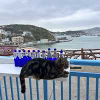 Blue Cafe - Gouqi Island