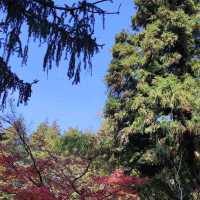 The Flower Path Garden Ruqin Lake Jiangxi