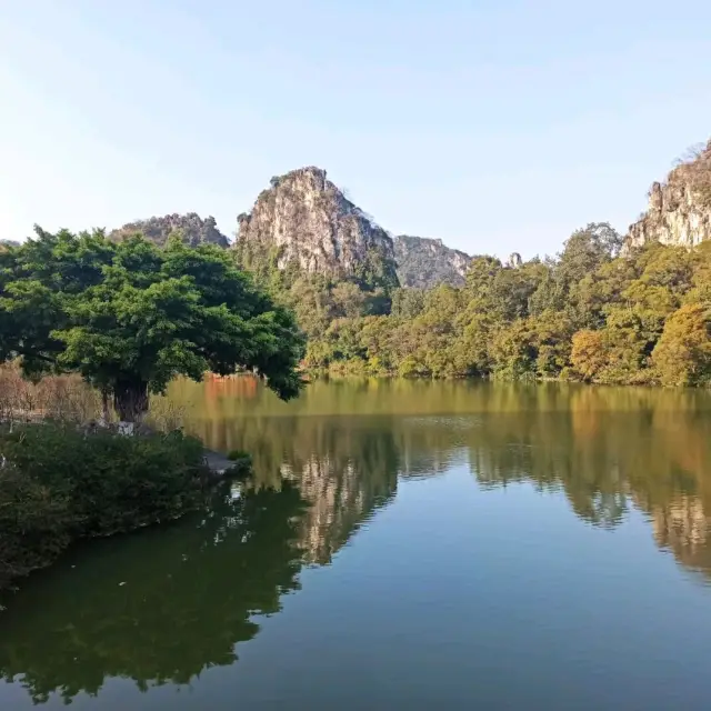 Liuzhou's green-side 🌴