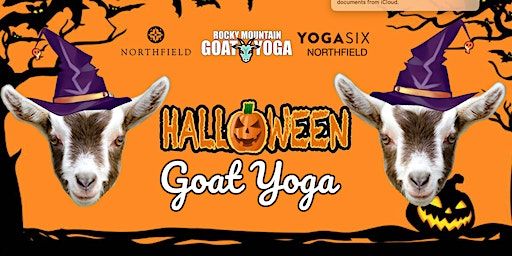 Halloween Goat Yoga - October 14th (YOGA SIX - NORTHFIELD) | 8246 Northfield Blvd #1410