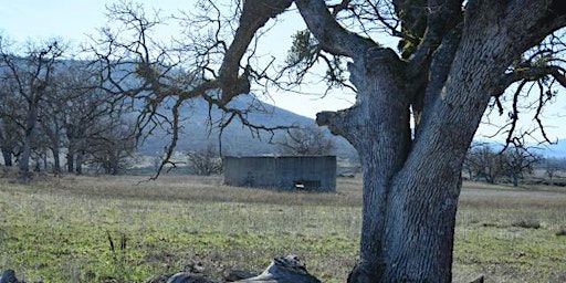 Camp White: "The Alcatraz of Boot Camps" | Upper Table Rock