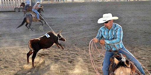 Ranch Rodeo Series 4 | Iron Saddle Ranch