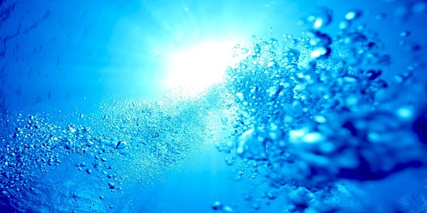 SCUBA Experience (Intro) for Veterans & Individual | Sunrise Civic Center Aquatics