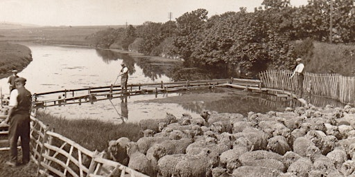 Shepherds of the South Downs- their lives and times with Ian Everest | Seven Sisters Country Park Visitor Centre
