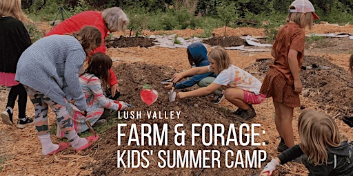 Farm & Forage Summer Camp: Session 1 | 4795 Headquarters Rd