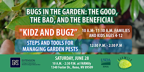 Bugs in The Garden: The Good, The Bad, and The Beneficial | 1340 Foster Dr