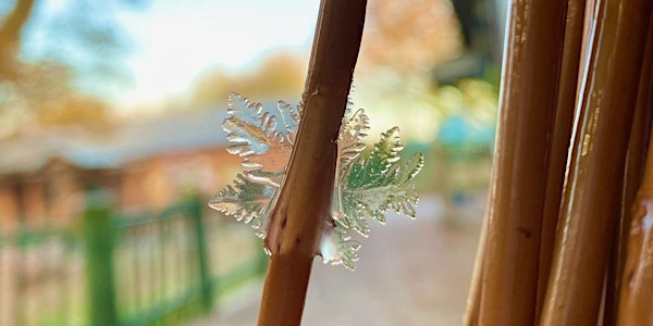 Beginners Willow Stars at Ryton Pools Country Park | Ryton Pools Country Park