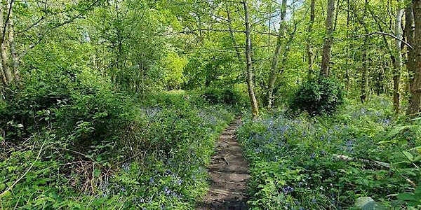Guided walk at Cucknell's Wood | Cucknell's Wood