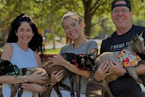 Goat Yoga at Frisco Fresh Market! | Frisco Fresh Market