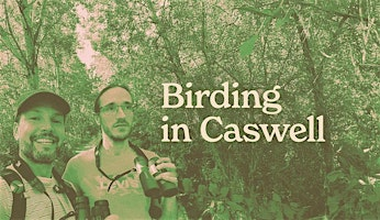 Birding in Caswell! Ashworth Holmes Park (Every Tuesday April 21 - May 26) | Ashworth Holmes Park