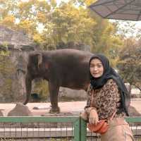 ZOO RAGUNAN