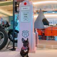 將軍澳超大pet friendly餐廳