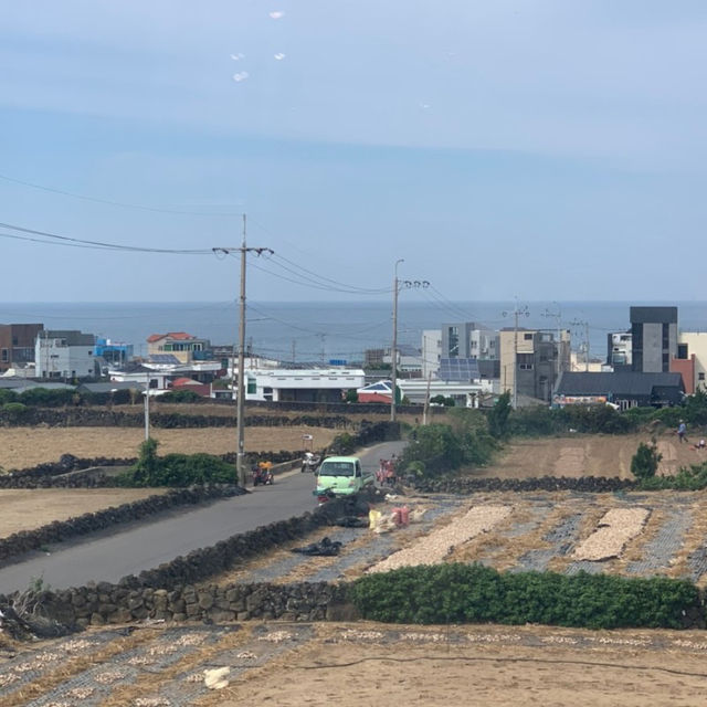 제주 월정리 바다뷰 카페, 스쿠버스