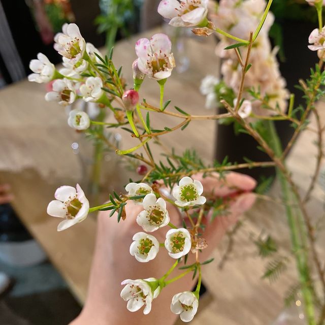 週末約上朋友仔去學插花.陶冶性情.PURICRAFT