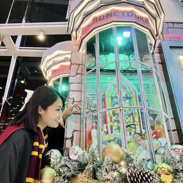 🎄Harry Potter的聖誕魔法世界✨