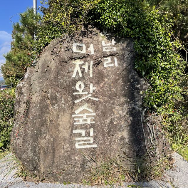 제주 머체왓숲길 혼자여행 추천!