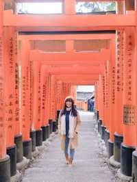 Never-ending Trails of Torii Gates! ⛩