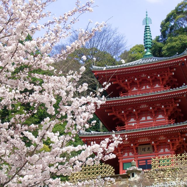 おすすめは桜の時期の三重塔！