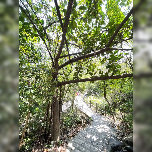 彩虹🌈欄杆X藍地水塘