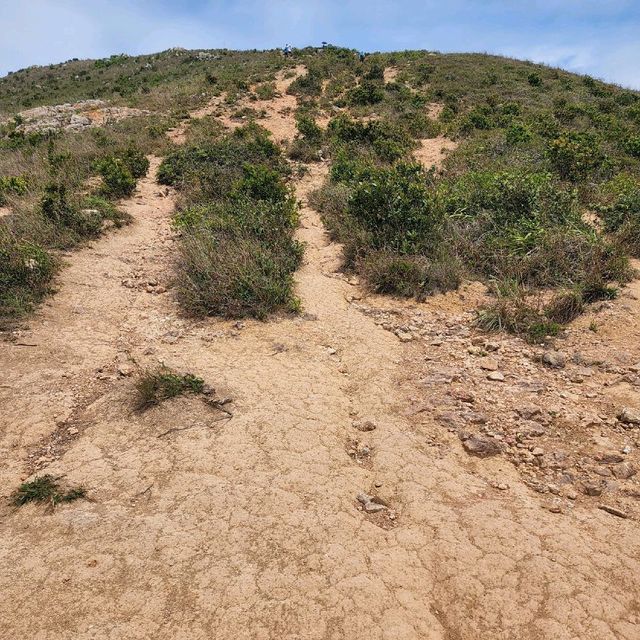 玉桂山