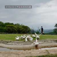 【千葉県】大人も楽しいマザー牧場