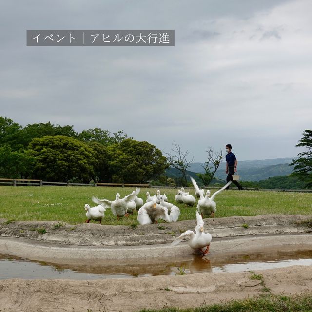 【千葉県】大人も楽しいマザー牧場