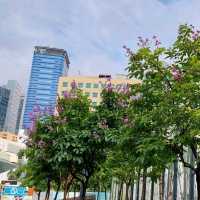 東九龍市中心休憩公園⚘️🌱🌴🌳