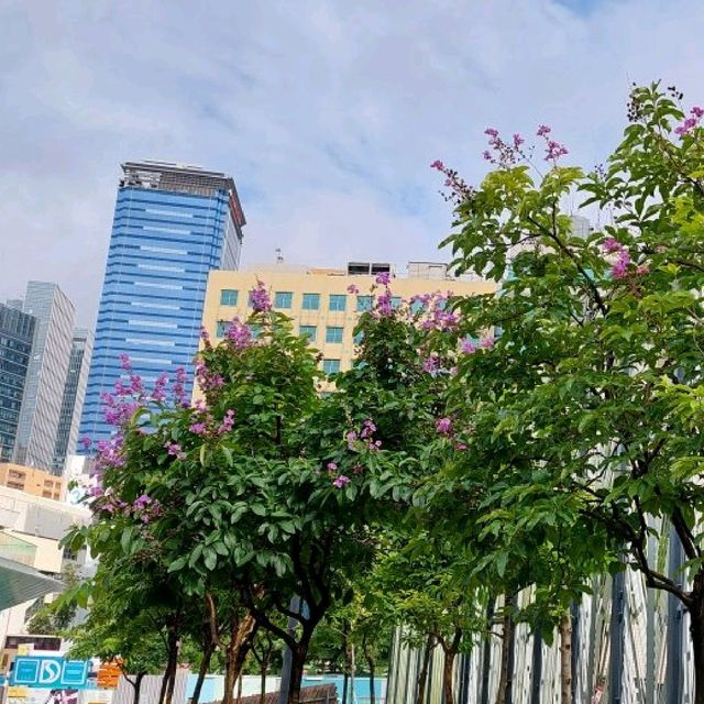 東九龍市中心休憩公園⚘️🌱🌴🌳