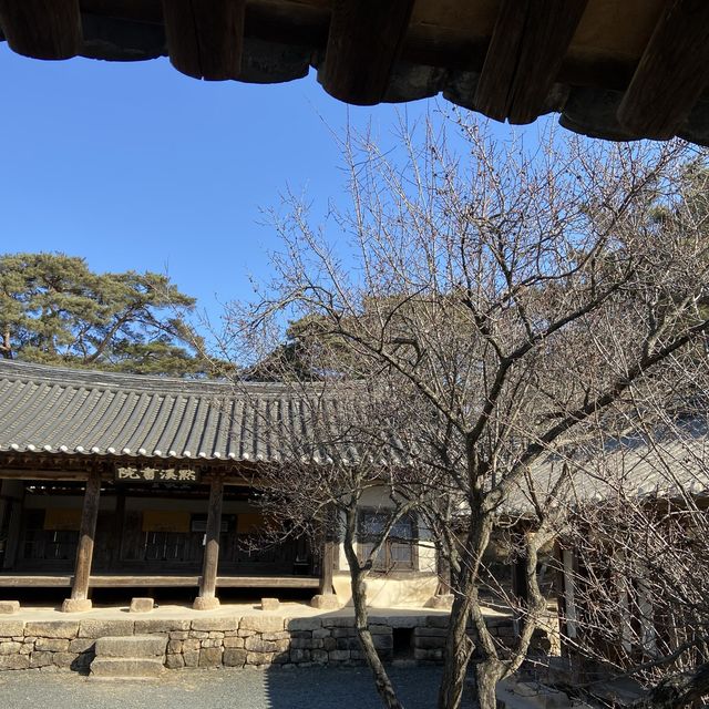 안동 만휴정 다녀왔어요~