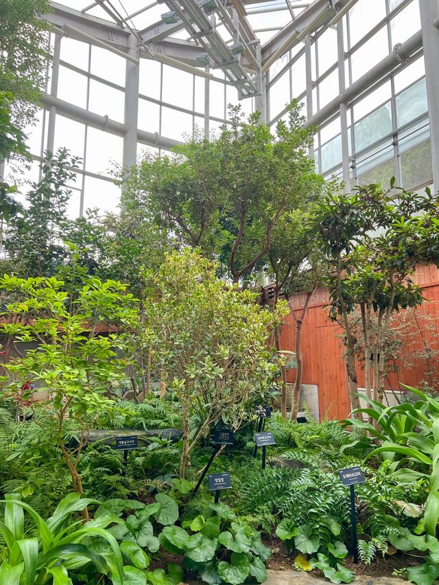 실내에서 구경하기좋은 부천식물원🌳