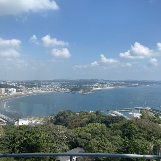 江ノ島 カラフルエビ たこせんべい