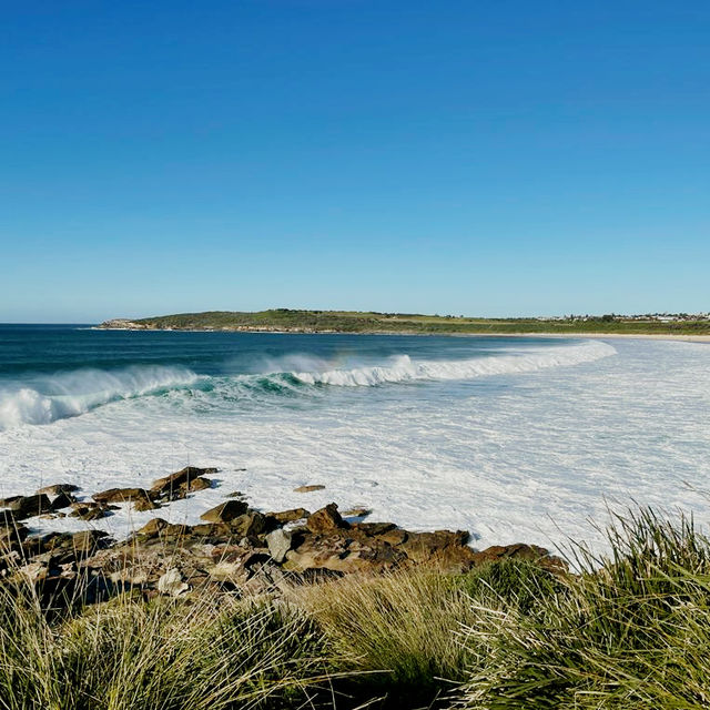 Spectacular Maroubra beach