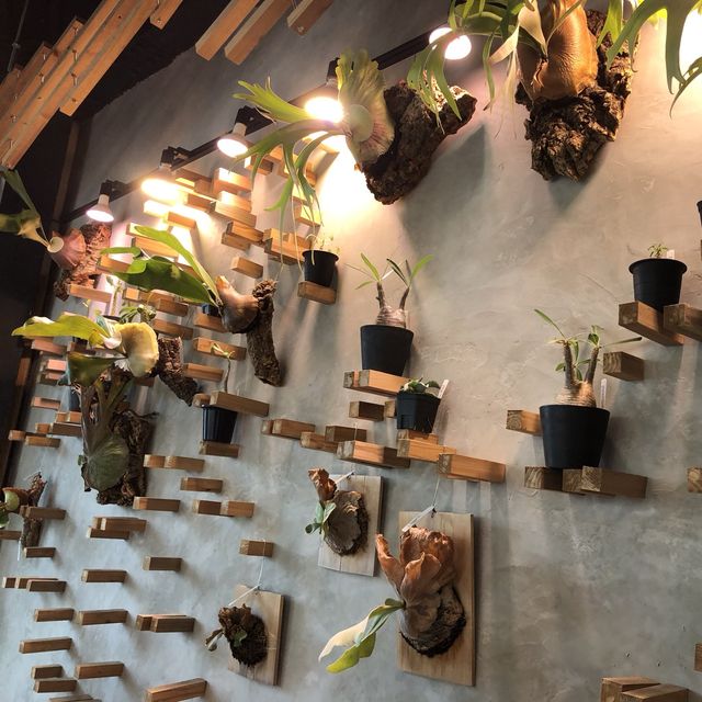 【大阪！個性お洒落カフェ現る!!】in高槻市