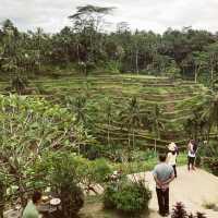 Most Charming Green Scenery in Ubud