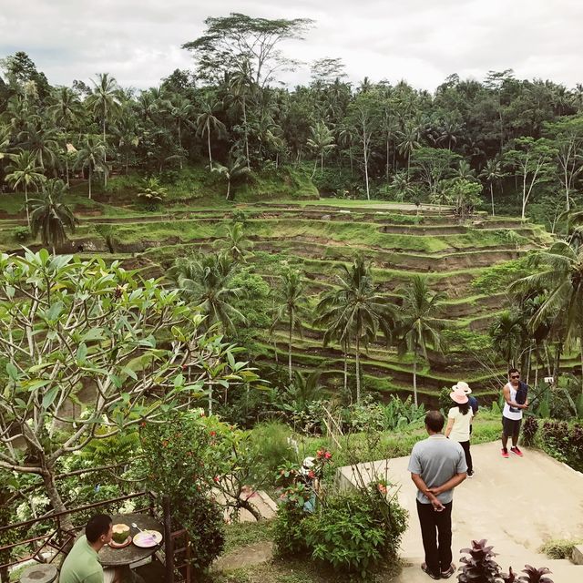 Most Charming Green Scenery in Ubud