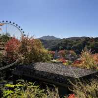 韓国【エバーランド】テーマパークで愉しむ韓国の秋🍁