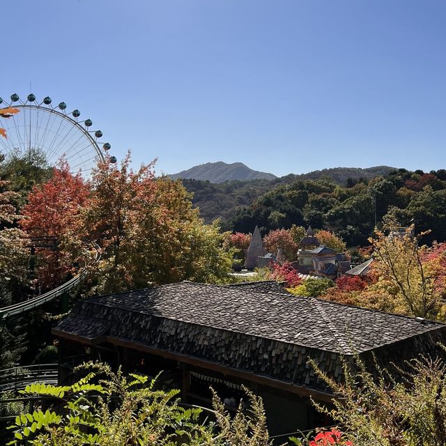 韓国【エバーランド】テーマパークで愉しむ韓国の秋🍁
