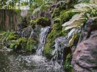 Magokoro Teahouse เชียงใหม่