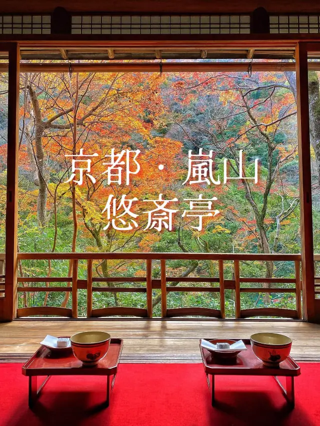 【京都・嵐山】最高の紅葉に出会う🍁