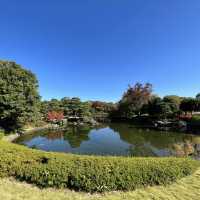 名古屋 楓葉下 的白鳥庭園🍁🍁