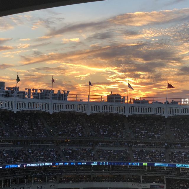 New York Yankees Live Baseball Game 