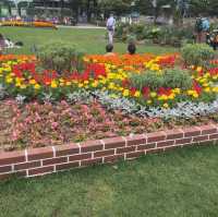 Odori Park 