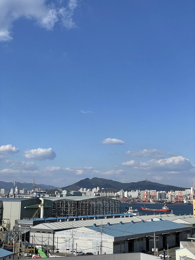 韓国🇰🇷影島　絶景カフェ