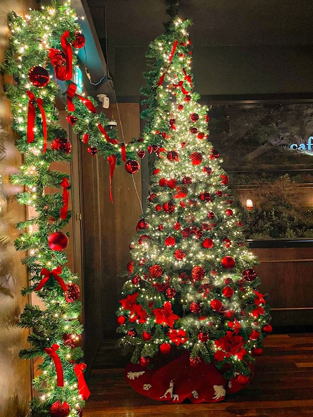 부산에서 가장 핫한 겨울 카페 🎄❄️
