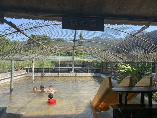 桃園/大溪-花鹿秘境 李家摸蜆農場 水豚君超萌 近距離接近可愛動物 
