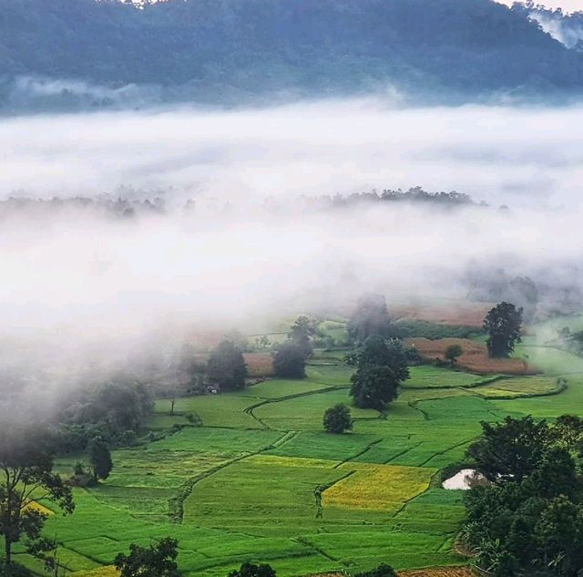 เขาโปกโล้น ทะเลหมอกงามกลางหุบเขา ⛰️