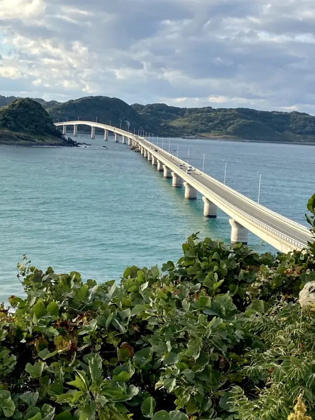 山口県🌊日本海にぽっかり浮かぶ島🏝【角島】